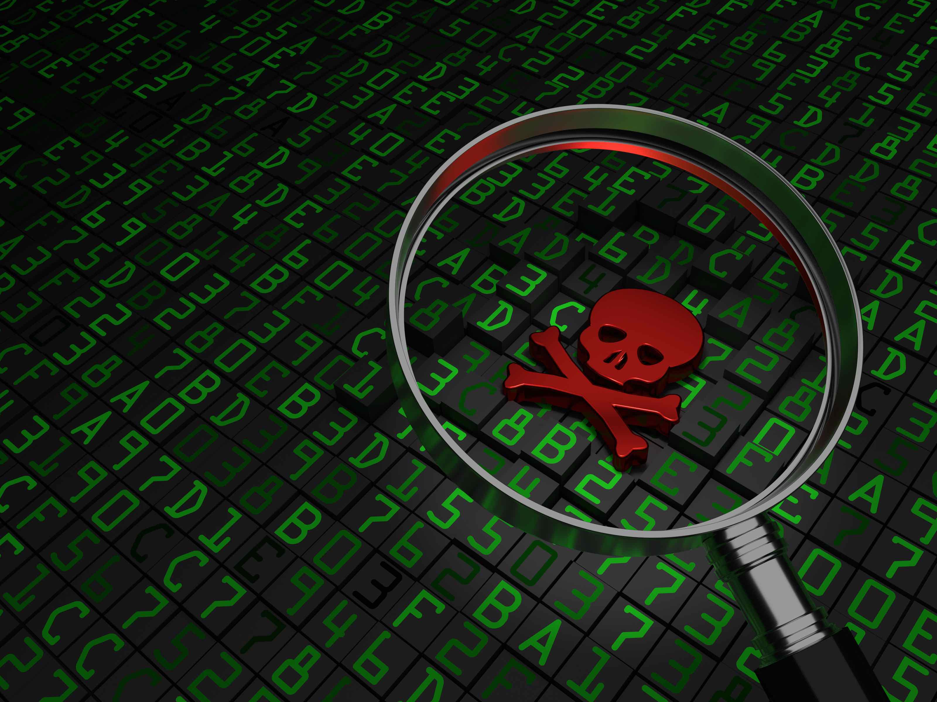 Phishing Detection Project